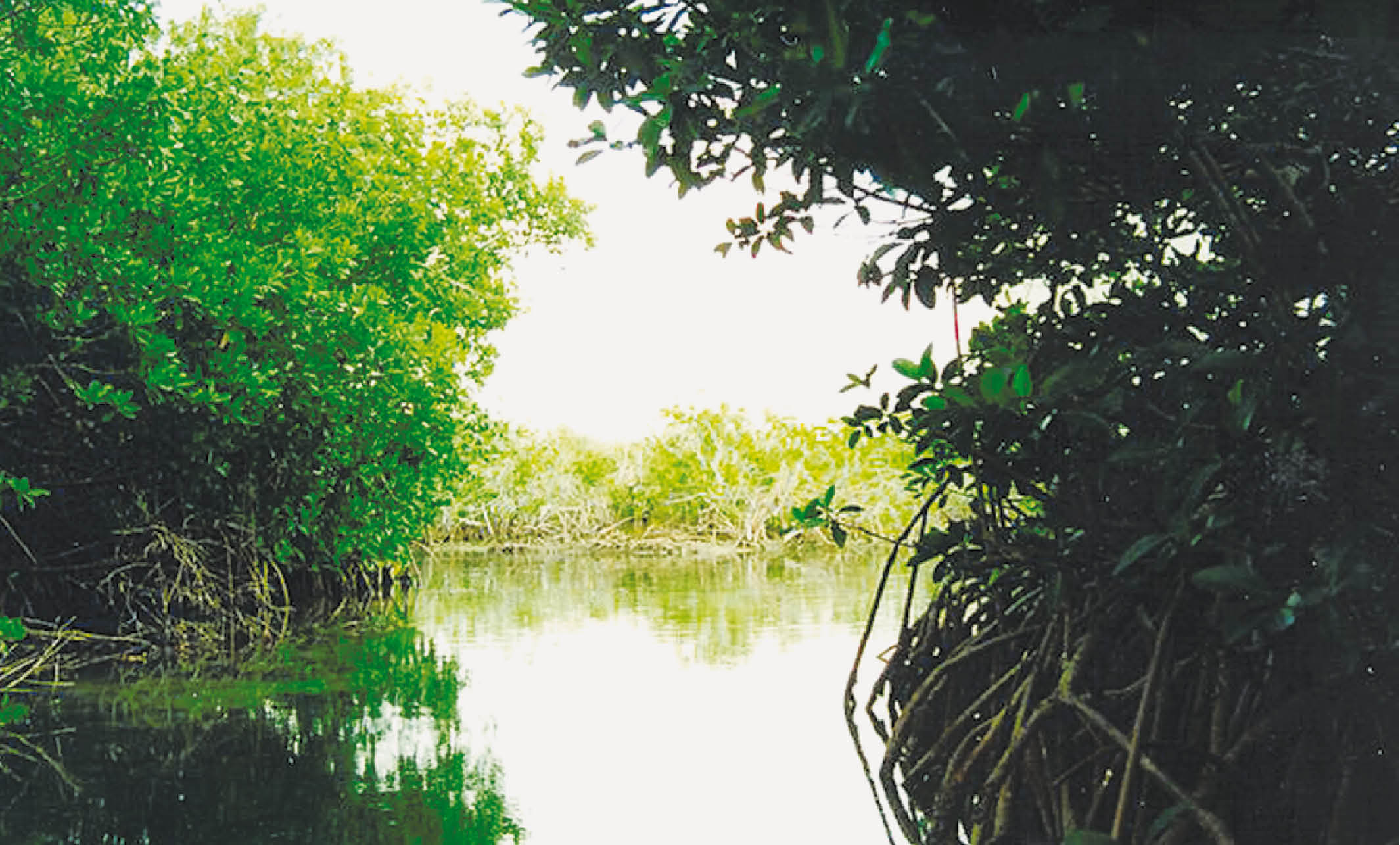 Biosphere Gulf of Mannar